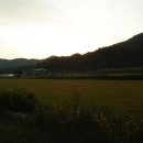 양사낚시터 이미지