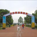 한강시민공원(등수국터널 1) 이미지