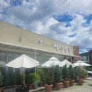 메밀정원 | 대구 다사 막국수 맛집 메밀정원(막국수/돈까스)내돈내산 후기