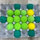 다솜동물병원 이미지