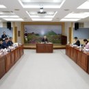 대송개발 쿠키뉴스