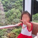 숲속마을파도소리 이미지