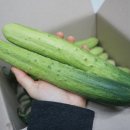 중부농산 이미지