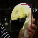 봄달래찬방 이미지