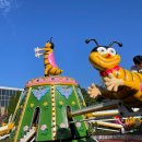 퍼스트가든 동물카페 이미지