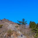 전남 해남 금강산성 - 민초의 목숨을 품었던 숲은 돌무더기로만 남아…