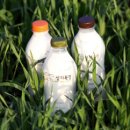 선도목장 이미지