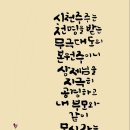 어묵천지 이미지