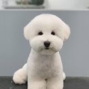 스위프트살롱 이미지