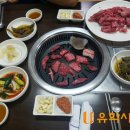 호야암소한마리 이미지