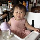 효신아트빌라 | 2023년 계묘년이 검은 토끼의 해라고 하는데요? 하얀 토끼도 행복했으면 좋겠습니다!