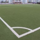 관저체육공원운동장 축구장 이미지