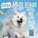 펫과 함께하는 가을 나들이: 김대중컨벤션센터 펫크닉 & 펫쇼, 맥주 축제 후기