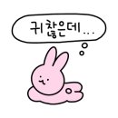 울산아지매 이미지