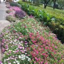 월드콘도 이미지