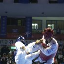 경희대강한태권도장 이미지