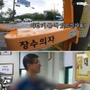 무단횡단 사망사고를 0 으로 만든 아이디어... 이미지