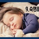 핫점핑다이어트 이미지