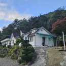 진동산채민박 이미지