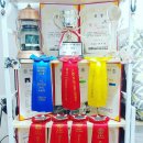 더 스마일독 이미지