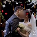 W14 _ 대전 가성비 본식 DVD 업체리스트 비교 총정리 (20만원대부터 40만원대까지)
