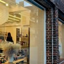 도장중학교 | [합정, 홍대 롤드페인트, 카카오프렌즈샵] 귀엽다 예쁘다 백아흔세 번 정도 외치기