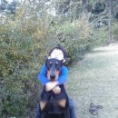 프라이드 켄넬 이미지