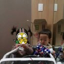 도꼬시에 이미지