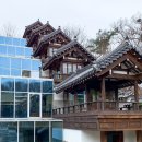 태재대학교 이미지