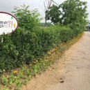 신창면 행정복지센터 이미지