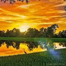 공공용 37 이미지