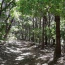 금바위저수지 이미지