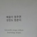 바른청년들 이미지