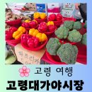 명성건어물 - 북구 서방로73번길 31 | [고령 여행] 부모님과 시장 나들이 고령 오일장이 열리는 "고령대가야시장" 정겨운 방문후기