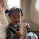 [공지] 32개월 아기랑 여행갈 때 해야할 일/아시아나항공 이용후기