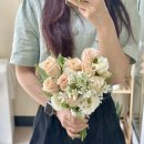 라네트플라워 이미지