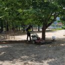 세성초교 병설유치원 이미지