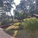 수월숲 공중화장실 이미지