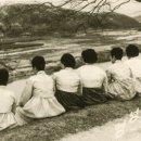 해동한약방