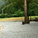 물내치기 이미지