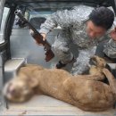 유순농장 이미지