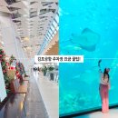 장흥군청 제2주차장 | 김포공항 주차장 요금 국내선 제2주차장 예약 주차비 할인 팁