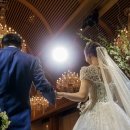 식이카 서비스 이미지