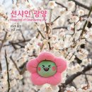 선샤인약국 이미지