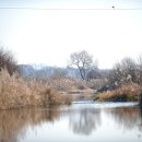 섬진강나루 이미지