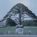 미토의원 이미지