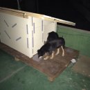 두리하우스 이미지