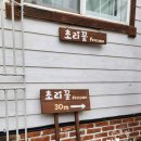 초리꽃펜션 이미지