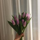 플라워팜팜/꽃구매후기