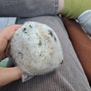 류비뇨의학과의원 - 은평구 연서로 146 | 류비뇨의학과의원